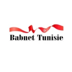 logo Babnet